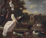 Melchior de Hondecoeter A Pelican and other exotic birds in a park oil painting